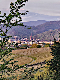 Coaching in der Natur